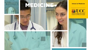 5-Year Program Brochure (downloadable)